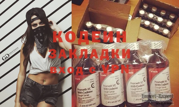 индика Балахна