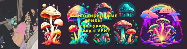 индика Балахна