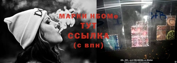 индика Балахна