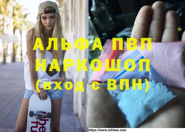 индика Балахна
