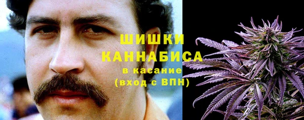 индика Балахна