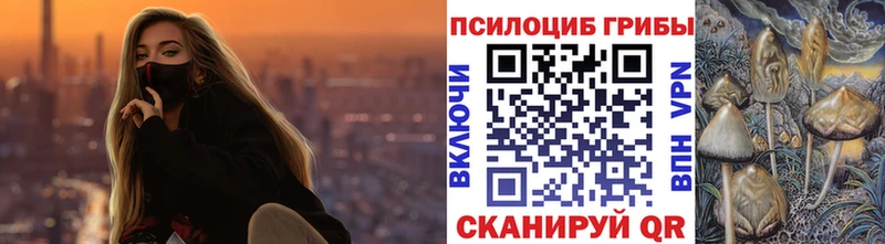 Псилоцибиновые грибы Cubensis  наркота  Красково 
